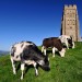 Glastonbury Tor - Glastonbury, Somerset, England