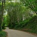 West Penwith - Cornwall, England