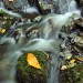 Lower Canonteign Falls - Dartmoor NP, Devon, England