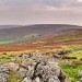 Hameldown Tor - Dartmoor NP, Devon, England