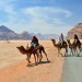 Camel Caravan - Wadi Rum, Jordan