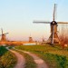 Golden Light - Kinderdijk, The Netherlands