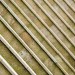 Straight Stairs Abstract - Scheveningen, The Netherlands