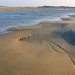 De Slufter - Texel, The Netherlands