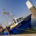 Harbour View - Texel, The Netherlands