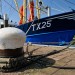 Bollard And Ship - Oudeschild, Texel, The Netherlands