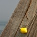 Fishing Net - Texel, The Netherlands