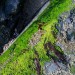 Algee And Rocks - Texel, The Netherlands