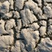 Sand Patterns - Texel, The Netherlands