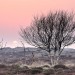 Sunset - Rommelpot, Texel, The Netherlands