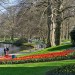 Keukenhof - Lisse, The Netherlands