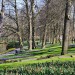 Keukenhof - Lisse, The Netherlands