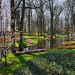 Keukenhof - Lisse, The Netherlands