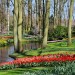 Keukenhof - Lisse, The Netherlands