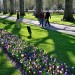 Keukenhof - Lisse, The Netherlands