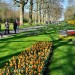 Keukenhof - Lisse, The Netherlands