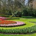 Keukenhof - Lisse, The Netherlands