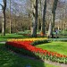 Keukenhof - Lisse, The Netherlands