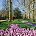 Keukenhof - Lisse, The Netherlands