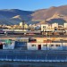 Morning View - Bayangol District, Ulaan Bataar, Mongolia