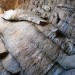 Buddha Statue - Yungang Grottoes, Datong, China