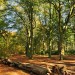 Autumn Colors - Landgoed Lievensberg, Heimolen, The Netherlands