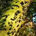 Leaf Shadows - Landgoed Lievensberg, Heimolen, The Netherlands