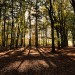 Autumn Colors - Landgoed Lievensberg, Heimolen, The Netherlands