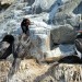 Imperial Shags - Beagle Channel, Argentina