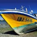 Fishing Boat - Quellón Harbor, Chiloé, Chile
