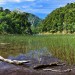 Lago Toro - Huerquehue National Park, Chile