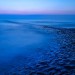 Blue Tranquility - Camperduinen Beach, The Netherlands