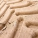 4x4 Tracks - Bergen Aan Zee Beach, The Netherlands