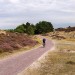 Schoorlse Duinen - Schoorl, The Netherlands