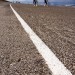 Bicycles - Hondsbossche Zeewering, Petten Aan Zee, The Netherlands