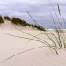 Dunes - West Aan Zee, Terschelling, The Netherlands